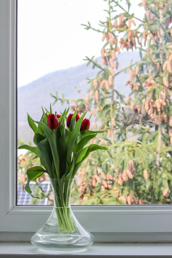Villa Haskova With 3 Bedrooms Banská Bystrica Dış mekan fotoğraf