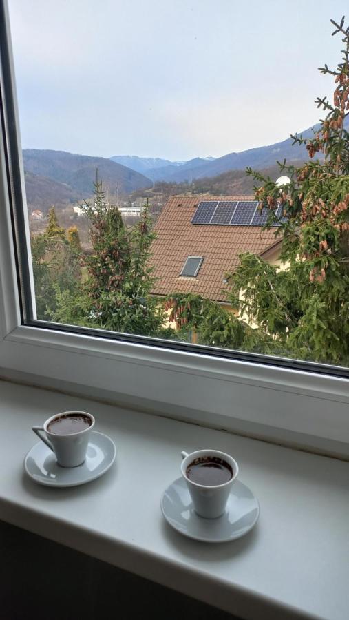 Villa Haskova With 3 Bedrooms Banská Bystrica Dış mekan fotoğraf